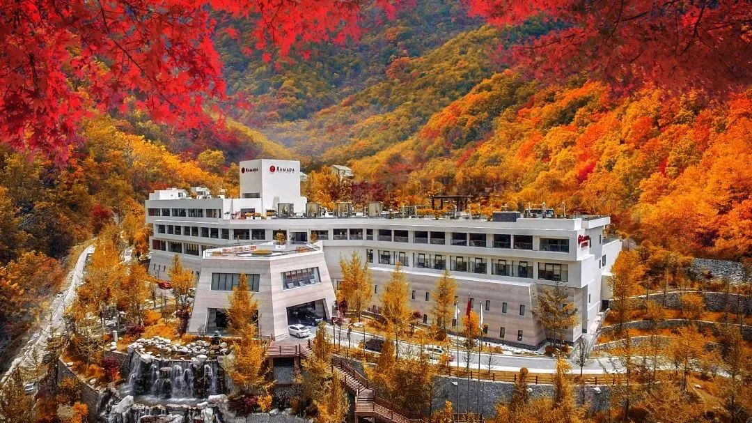 ea820503-f5d9-4702-8deb-698b111dec6e ea820503-f5d9-4702-8deb-698b111dec6e