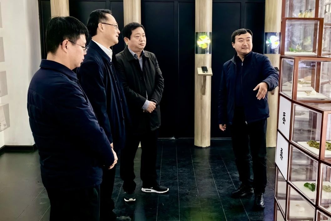 eef897ad-5437-4d7a-9017-968b75ddeeeb eef897ad-5437-4d7a-9017-968b75ddeeeb