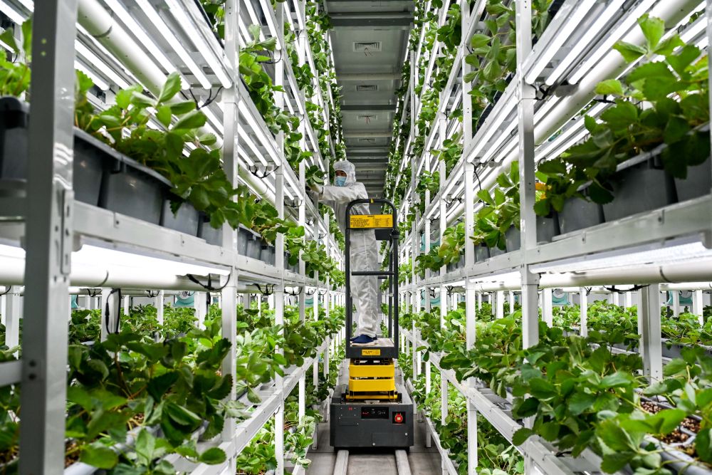 5e578d04-8766-48c7-a176-cbd7dec34022 5e578d04-8766-48c7-a176-cbd7dec34022