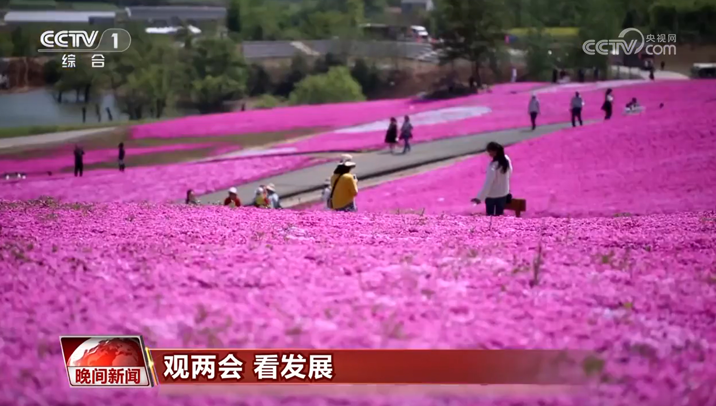 7d85642b-6d74-4bdf-b962-7ef16d1fcd44 7d85642b-6d74-4bdf-b962-7ef16d1fcd44