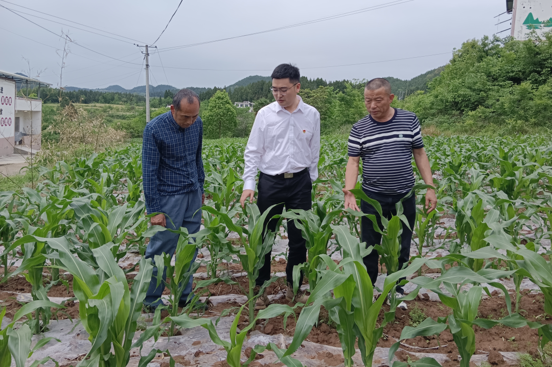 05419f4e-0707-4885-96cb-5cd4ce979c51 05419f4e-0707-4885-96cb-5cd4ce979c51