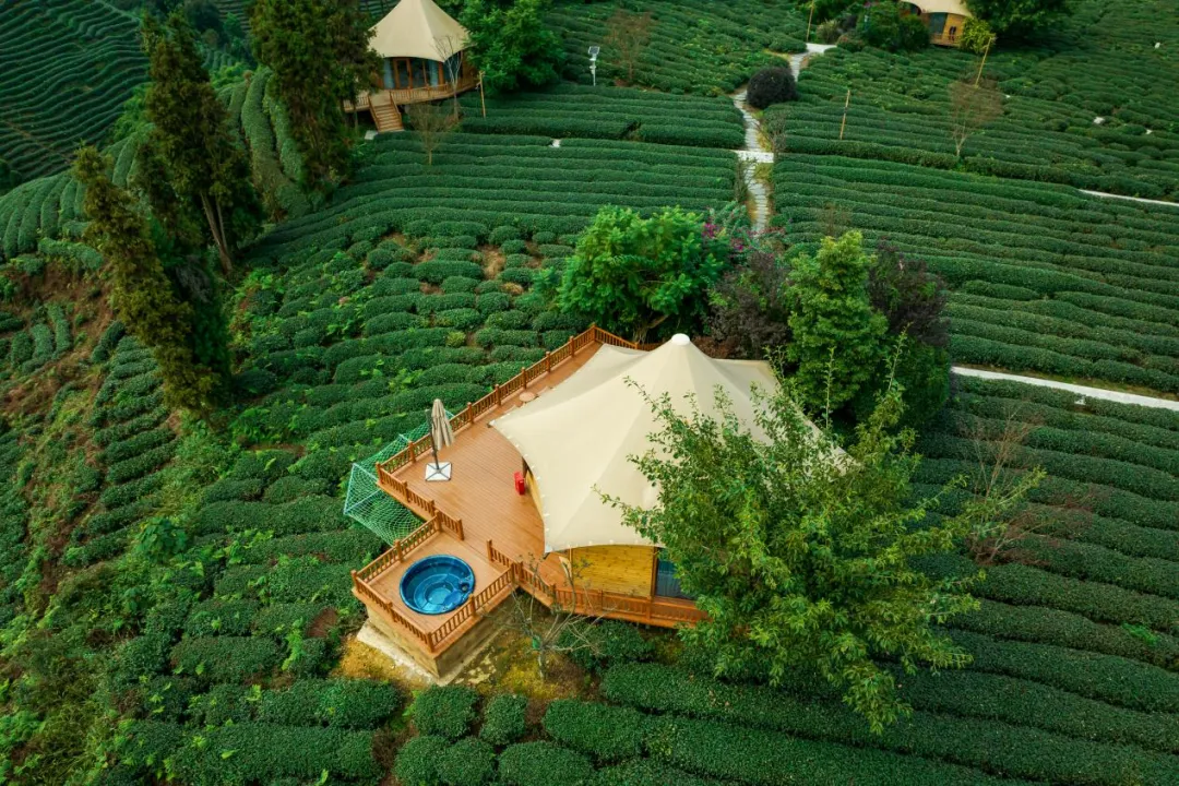 a9596a74-16b5-468a-91d1-cd682034fead a9596a74-16b5-468a-91d1-cd682034fead