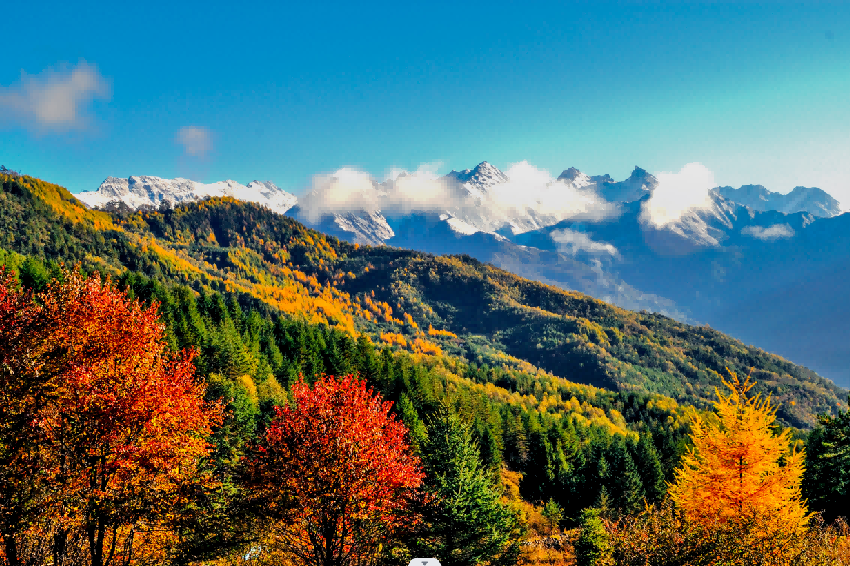 6a6b8e5b-782d-4240-867c-2e39f1432f94